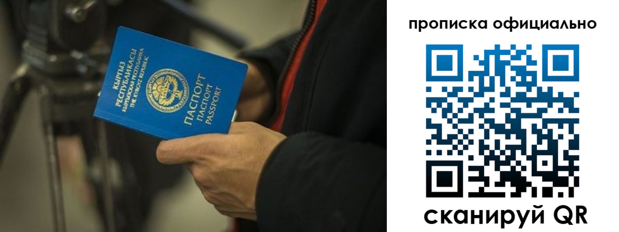 прописка в Зеленоградске